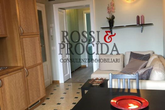 COLUCCIO SALUTATI 15