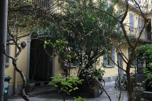 COLUCCIO SALUTATI 15