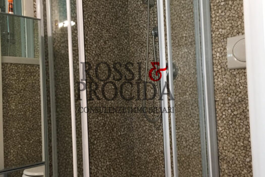 COLUCCIO SALUTATI 15