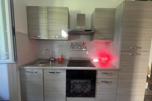 ALZAIA NAVIGLIO PAVESE 14 – 32 MQ